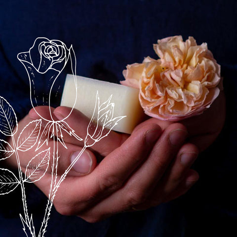 Wollfettseife Rose
