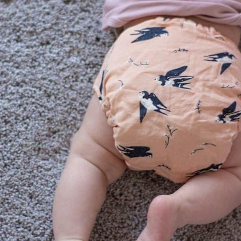 Musselin_Schwalbling_Tragebild