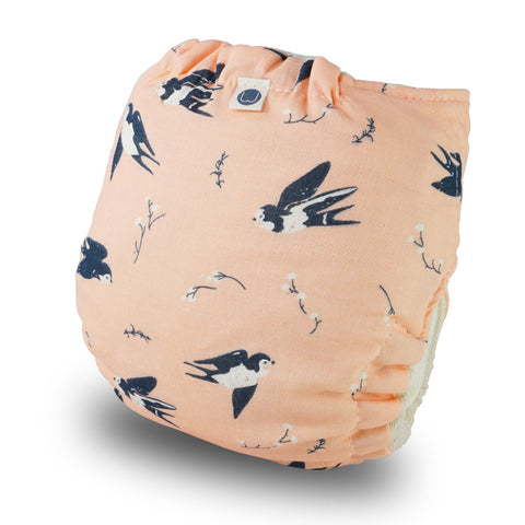 Mussolin-Schwalbling_hintenRY0vW3hGTw4wm