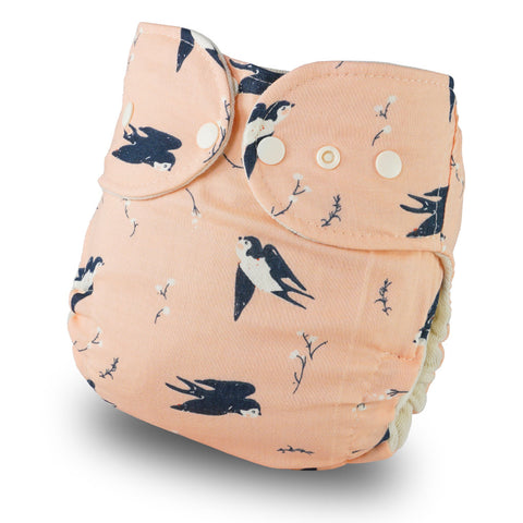 Mussolin-Schwalbling_vornefaQgtkNB73TRE