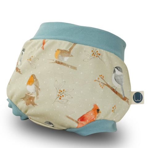 Unnerbüxling Wintervogeling