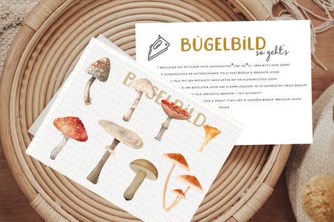 Bügelbild Pilze Pfifferlinge Fliegenpilz