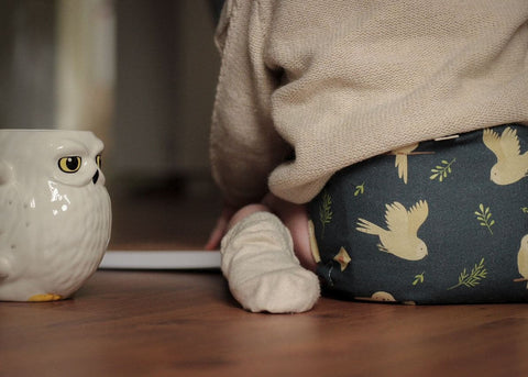 Zaubereuling_Tragebild