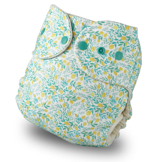 Zitronenbaumling_vornechhsPQauEizmC